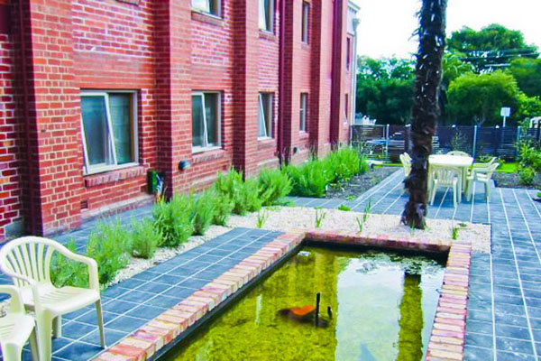 HH_Backyard_Fish_Pond